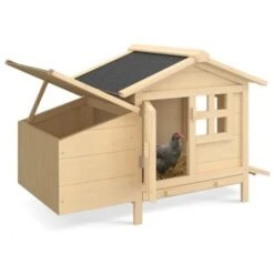 Poulailler Sur Pilotis Avec Pondoir En Bois