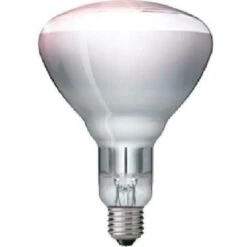 Philips Lampe S'incline Dans L'attaque 150w E27 Clear Finish Ir150ch