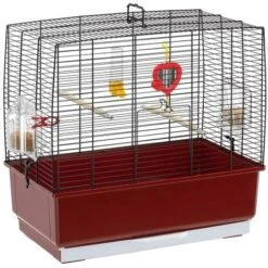 Ferplast REKORD 3 Cage Pour Canaris Et Autres Petits Oiseaux. Variante - Mesures: 49 X 30 X H 48.5 Cm - Noir