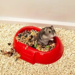 Ferplast MAXI DUNA MULTY Cage Non Accessoirisée Pour Lapins Et Cochons D'inde. Variante MAXI DUNA MULTY - Mesures: 99 X 51.5 X H 36 Cm - -Trixie || Flamingo Soldes Magasin 12573087 4