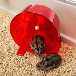 Ferplast MAXI DUNA MULTY Cage Non Accessoirisée Pour Lapins Et Cochons D'inde. Variante MAXI DUNA MULTY - Mesures: 99 X 51.5 X H 36 Cm - -Trixie || Flamingo Soldes Magasin 12573087 5