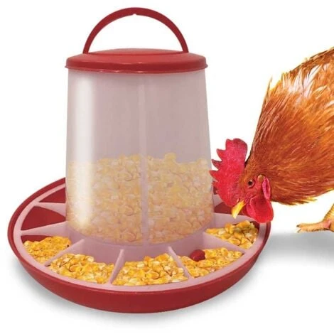 Mangeoire Pour Poules 3 Mangeoire Pour Poules – Image 3