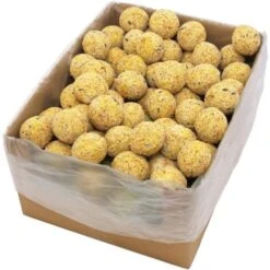 Boules De Graisse 200 Pcs 90 G VidaXL