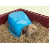 Savic Maisonnette Lapin Nain Cocoon 34x26,5x16cm