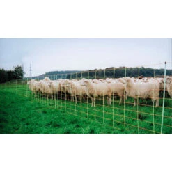 Filet, 50 M Euro Netz 7 Filet, 50 M Euro Netz -Trixie || Flamingo Soldes Magasin 18358275 4