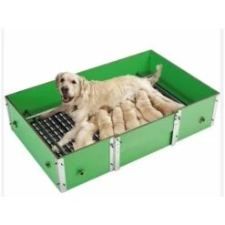 Cage élevage De Chiens Taille M