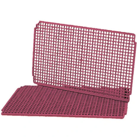 Sandwich Pour Nid Lapins Milan 1 Sandwich Pour Nid Lapins Milan