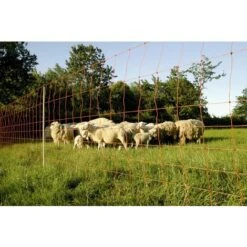 Filet Euro 90/1, 25 M De Long Euro Netz