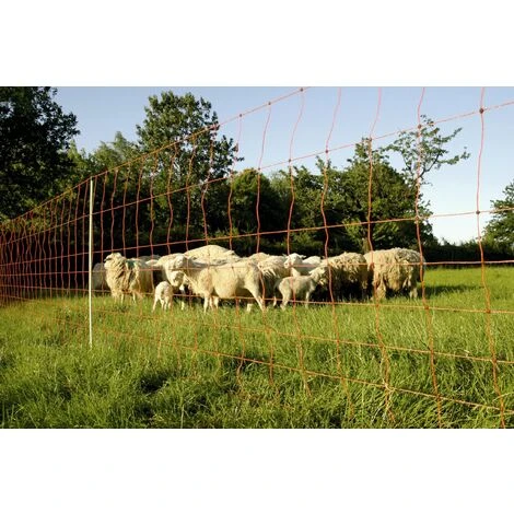 Filet Euro 90/1, 25 M De Long Euro Netz 1 Filet Euro 90/1, 25 M De Long Euro Netz