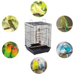 Yaheetech Cage à Oiseaux Avec Corde De Jouet 40 X 40 X 58 Cm Cage Pour Perruche Canari Calopsitte Ouverture Supérieure 8 Yaheetech Cage à Oiseaux Avec Corde De Jouet 40 X 40 X 58 Cm Cage Pour Perruche Canari Calopsitte Ouverture Supérieure -Trixie || Flamingo Soldes Magasin 19380716 4
