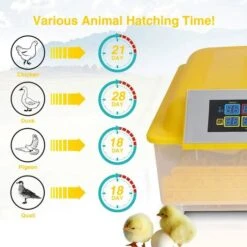 Couveuse Automatique 48 Oeufs - Incubateur Intelligent Pour Poussins 80W - Contrôle Numérique De La Température - Jaune -Trixie || Flamingo Soldes Magasin 21204538 3