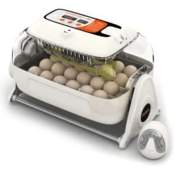 Couveuse RCOM King Suro 20 MAX