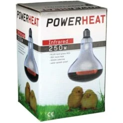 Ampoule Infrarouge 250W