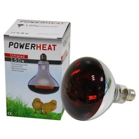 Ampoule Infrarouge 150W 1 Ampoule Infrarouge 150W