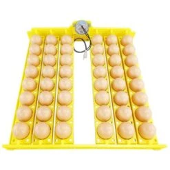 Plateau 48 Oeufs De Poule