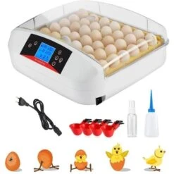 Couveuse 12 Oeufs Automatique - Incubateur Avec Lumière LED Pour L'observation Des Oeufs - Contrôle De La Température