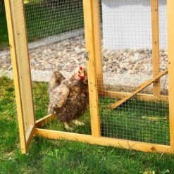 Melko Poulailler Avec Sortie Pour 4-6 Poulets Poulailler 168x75x103 Cm Poulailler Volières Avec Nichoir Avec Support De Couvercle, Imprégné Résistant Aux Intempéries -Trixie || Flamingo Soldes Magasin 24027644 4