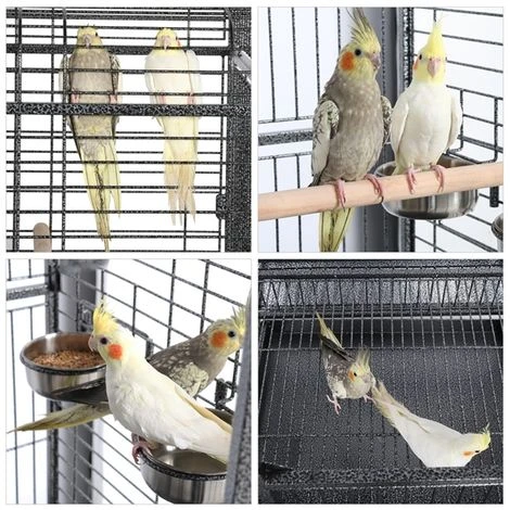 Yaheetech Volière Oiseaux Grande Cage Perroquet Cacatoès Ara Amazone Conure Gris Du Gabon 81 X 77 X 154 Cm Avec Roulettes 2 Yaheetech Volière Oiseaux Grande Cage Perroquet Cacatoès Ara Amazone Conure Gris Du Gabon 81 X 77 X 154 Cm Avec Roulettes – Image 2