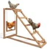 Aire De Jeux En Bois Pour Poules Avec Balançoire Et Perchoir
