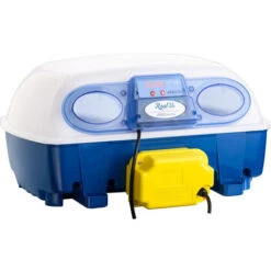 Couveuse REAL 24 œufs BOROTTO Automatique