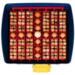 Couveuse REAL 49 œufs BOROTTO Automatique -Trixie || Flamingo Soldes Magasin 24995806 4