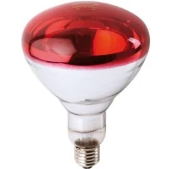 Ampoule PHILIPS IR à Vis Rouge 250W