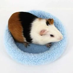 1pc Doux, Confortable Rond En Polaire Chaud Hamster Lit Tapis De Sommeil Pour Rat, Hérisson, écureuil, Cochon D'Inde, Les Petits Animaux (S, Bleu)