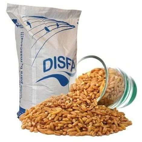 Semilla De Avena Pelada Para Aves DISFA 4 Kg 1 Semilla De Avena Pelada Para Aves DISFA 4 Kg