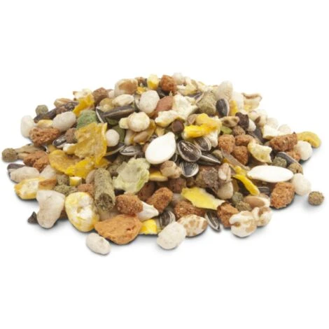 VERSELE-LAGA Alimento Para Hámster CRISPY MUESLI HAMSTER & CO 1 Kg 3 VERSELE-LAGA Alimento Para Hámster CRISPY MUESLI HAMSTER & CO 1 Kg – Image 3