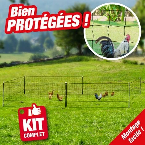 Filet Cloture Pour Poules En Kit Longueur 12M Avec Porte Et 6 Piquets 1 Filet Cloture Pour Poules En Kit Longueur 12M Avec Porte Et 6 Piquets