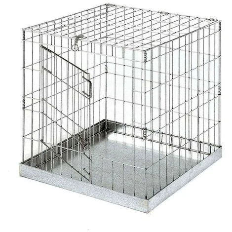 Cage D'exposition Avec Porte Pour Oiseaux 60x60 Cm 1 Cage D'exposition Avec Porte Pour Oiseaux 60x60 Cm