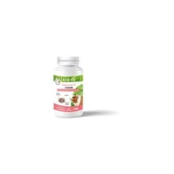 Actiplant' Vitamine C Rongeurs 250gr