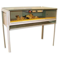 Eleveuse Artificielle Volailles Semi-professionnelle Tout Équipée - Fiem