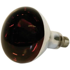 Lampe Infrarouge En Verre Dur, 150 Watts, Rouge Kerbl -Trixie || Flamingo Soldes Magasin 29644487 3