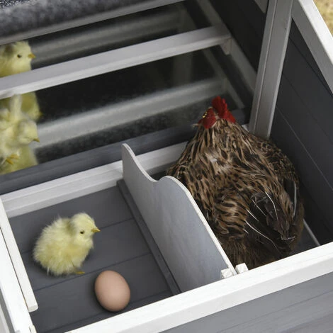 PawHut Poulailler Cottage Cage à Poules Surélevé Dim. 176L X 65l X 100H Cm Multi-équipement Toit Bitumé Noir Bois Sapin Gris Blanc 4 PawHut Poulailler Cottage Cage à Poules Surélevé Dim. 176L X 65l X 100H Cm Multi-équipement Toit Bitumé Noir Bois Sapin Gris Blanc – Image 4