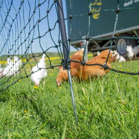 Filet Volaille électrifiable 50m, H 1.2m 4 Filet Volaille électrifiable 50m, H 1.2m – Image 4