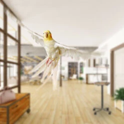 Relaxdays Perchoir Perroquet, XL, Barre, 2 Mangeoires, Bac Récupérateur, à Roulettes, Métal, Accessoire Oiseaux, Noir -Trixie || Flamingo Soldes Magasin 31803772 5