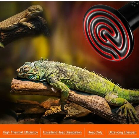 LangRay E27 50W Émetteur Radiateur Animaux Ampoule Infrarouge Chauffage En Céramique,Lampe De Reptile Pour Amphibiens, Serpent, Oiseaux,Tortue, Chat, Chien 3 LangRay E27 50W Émetteur Radiateur Animaux Ampoule Infrarouge Chauffage En Céramique,Lampe De Reptile Pour Amphibiens, Serpent, Oiseaux,Tortue, Chat, Chien – Image 3