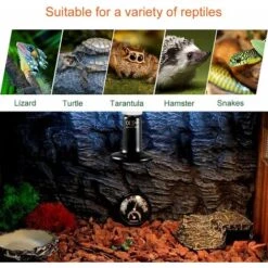 LangRay E27 50W Émetteur Radiateur Animaux Ampoule Infrarouge Chauffage En Céramique,Lampe De Reptile Pour Amphibiens, Serpent, Oiseaux,Tortue, Chat, Chien 8 LangRay E27 50W Émetteur Radiateur Animaux Ampoule Infrarouge Chauffage En Céramique,Lampe De Reptile Pour Amphibiens, Serpent, Oiseaux,Tortue, Chat, Chien -Trixie || Flamingo Soldes Magasin 32532727 4