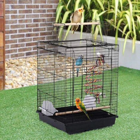 Cage à Oiseaux Intérieur Avec Poignée 40 X 40 X 58 Cm Toit Ouvrant Pour Perruche Ondulée Canari Calopsitte 3 Cage à Oiseaux Intérieur Avec Poignée 40 X 40 X 58 Cm Toit Ouvrant Pour Perruche Ondulée Canari Calopsitte – Image 3