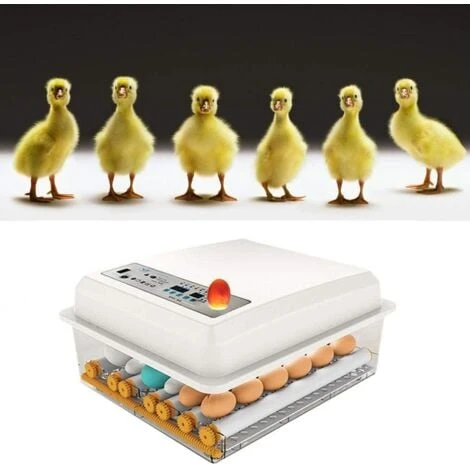 Incubateur Oeufs Couveuse A Oeuf Automatique Pour Volaille, Caille, Oie Canard, Pigeon, Reptile - 16 Oeufs 1 Incubateur Oeufs Couveuse A Oeuf Automatique Pour Volaille, Caille, Oie Canard, Pigeon, Reptile - 16 Oeufs