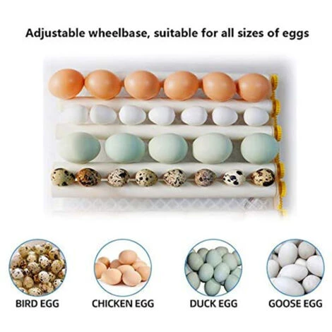 Incubateur Oeufs Couveuse A Oeuf Automatique Pour Volaille, Caille, Oie Canard, Pigeon, Reptile - 16 Oeufs 5 Incubateur Oeufs Couveuse A Oeuf Automatique Pour Volaille, Caille, Oie Canard, Pigeon, Reptile - 16 Oeufs – Image 5