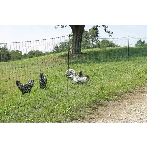 Filet Non électrifié Pour Volaille, 106cm Avec Double Pointe, Rouleau 50m 5 Filet Non électrifié Pour Volaille, 106cm Avec Double Pointe, Rouleau 50m – Image 5