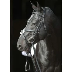 Bridon Cancun Complet Noir Covalliero -Trixie || Flamingo Soldes Magasin 36029218 4