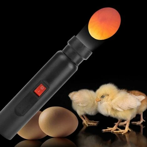 Mire Oeuf Lampe Mire Oeuf Testeur D'oeufs, Lumière LED Pour Vérifier L’Incubation D’Oeuf Portable Incubateur D'oeufs De Cane Lampe De Poche Batterie Pour Volaille 2 Mire Oeuf Lampe Mire Oeuf Testeur D'oeufs, Lumière LED Pour Vérifier L’Incubation D’Oeuf Portable Incubateur D'oeufs De Cane Lampe De Poche Batterie Pour Volaille – Image 2