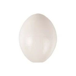 5 Oeufs Pour Perruche, ø 1.8 Cm Artificiel En Plastique - Animallparadise 6 5 Oeufs Pour Perruche, ø 1.8 Cm Artificiel En Plastique - Animallparadise -Trixie || Flamingo Soldes Magasin 41021845 3