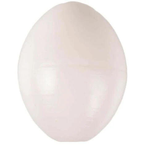 5 Oeufs Pour Perruche, ø 1.8 Cm Artificiel En Plastique - Animallparadise 4 5 Oeufs Pour Perruche, ø 1.8 Cm Artificiel En Plastique - Animallparadise – Image 4