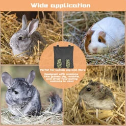 Mangeoire Pour Lapin, Cochon D'Inde, Foin, Mangeoire Pour Lapin, Chinchilla, Sac De Rangement En Plastique Noir, Fontainebleau 8 Mangeoire Pour Lapin, Cochon D'Inde, Foin, Mangeoire Pour Lapin, Chinchilla, Sac De Rangement En Plastique Noir, Fontainebleau -Trixie || Flamingo Soldes Magasin 51213329 4