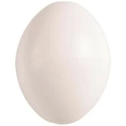 5 œufs Artificiel En Plastique ø 2.3 Cm Pour Oiseaux Calopsitte , Inséparables, Agapornis - Animallparadise -Trixie || Flamingo Soldes Magasin 51739730 3