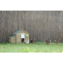 Porte Automatique Pour Poules, Kit Complet Comprenant Une Porte Coulissante 22 X 33cm Kerbl 7 Porte Automatique Pour Poules, Kit Complet Comprenant Une Porte Coulissante 22 X 33cm Kerbl -Trixie || Flamingo Soldes Magasin 53350667 4